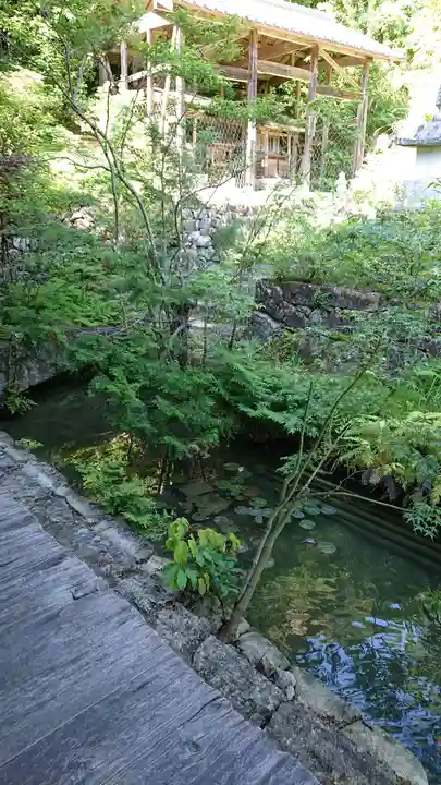 桑実寺のその他建物