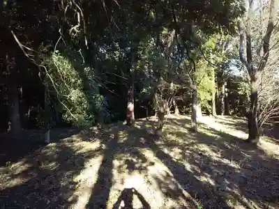 梅宮神社(埼玉県)