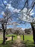 鏡山湯泉神社(栃木県)