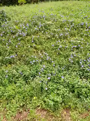 白狐山光星寺(山形県)