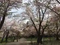 開拓神社の周辺