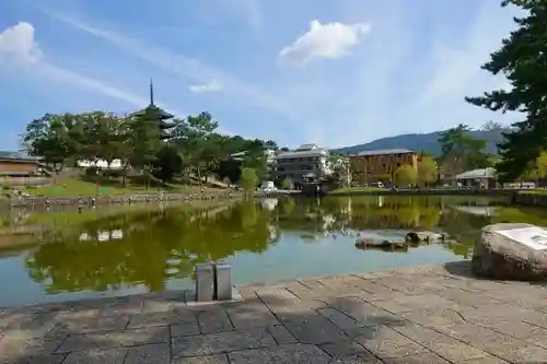 興福寺の庭園