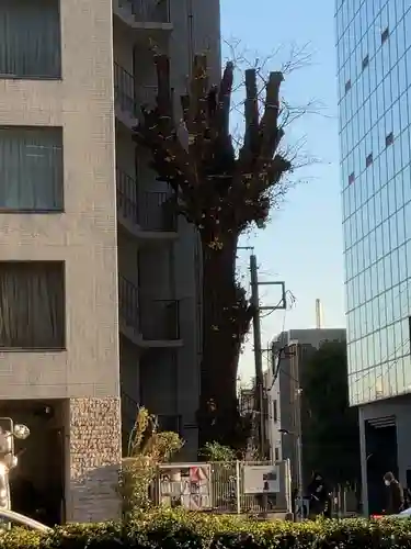 箒銀杏天満宮(東京都)