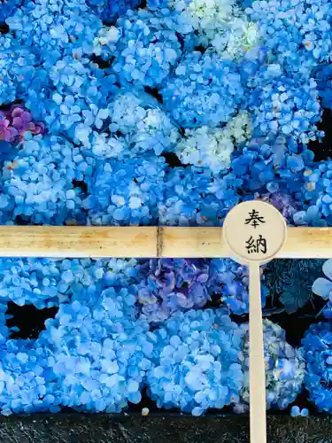 土津神社｜こどもと出世の神さまの手水舎