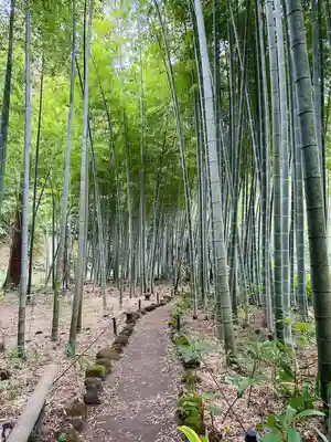 英勝寺(神奈川県)
