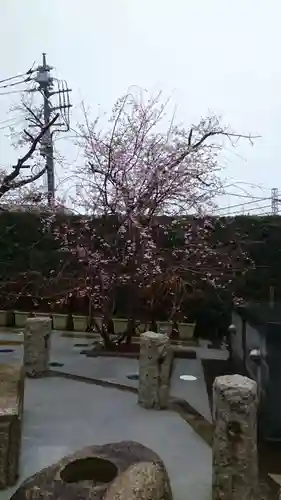 法蓮寺(東京都)