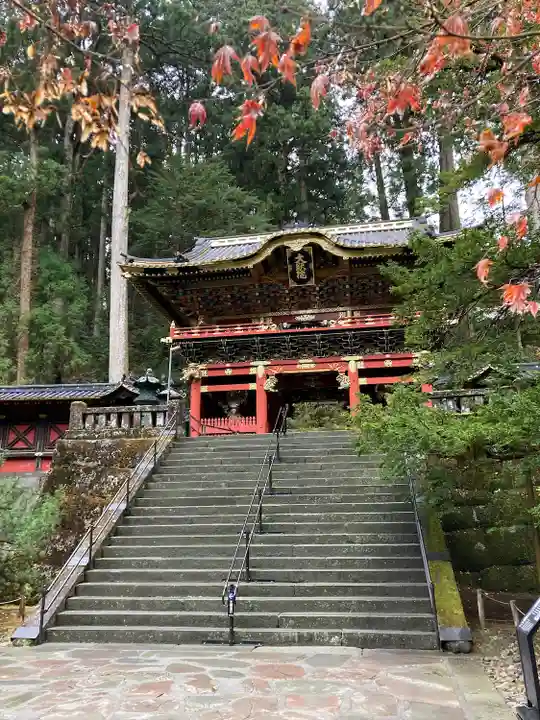 日光山輪王寺 大猷院の山門・神門
