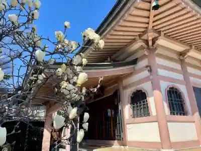 中台寺の{uncategorized: "未分類", other: "その他", undefined: "問題あり", building: "その他建物", grave: "お墓", sacred_gate: "鳥居", guardian: "狛犬", statue: "像", buddha: "仏像", history: "歴史", nature: "自然", garden: "庭園", animal: "動物", pagoda: "塔", temizu: "手水舎", mountain_gate: "山門・神門", sanctuary: "本殿・本堂", subordinate: "末社・摂社", art: "芸術", scenery: "景色", jizo: "地蔵", ema: "絵馬", goshuin: "御朱印", omikuji: "おみくじ", items: "授与品その他", amulet: "お守り", goshuincho: "御朱印帳", eats: "食事", festival: "お祭り", votive_dance: "神楽", shichigosan: "七五三参", wedding: "結婚式", experience: "体験その他", initially: "初詣", around: "周辺", anti_infection: "感染症対策"}