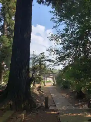 荒神宮(千葉県)