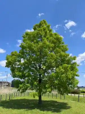 鞆江神社（明地）(愛知県)