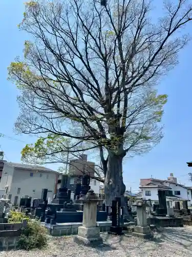 久福寺(福島県)