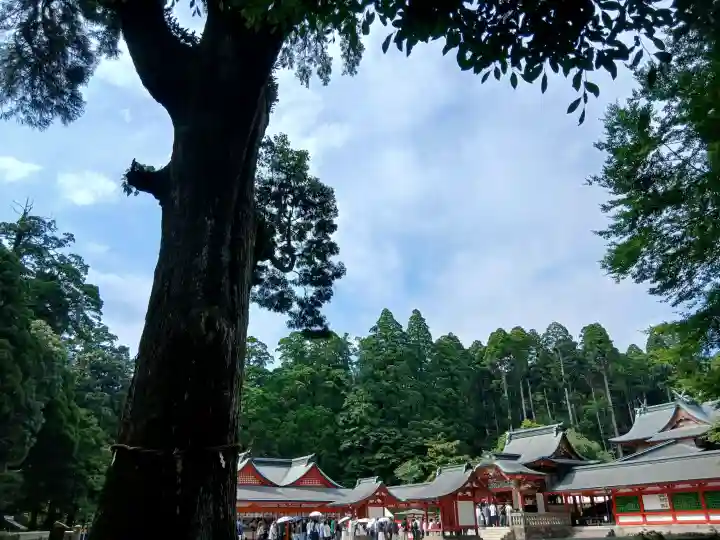 霧島神宮(鹿児島県)