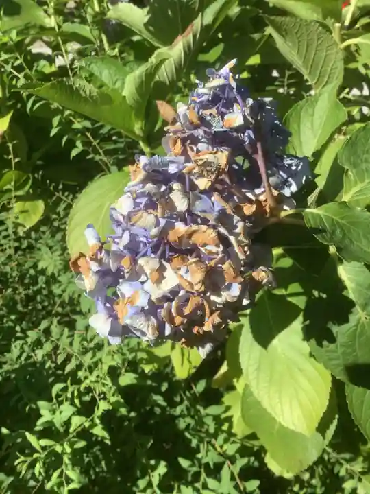 三輪神社の自然