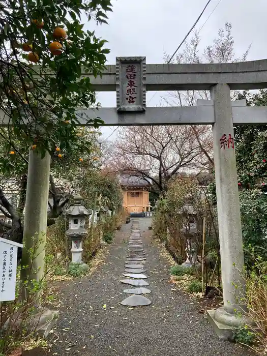 蓮田東照宮の鳥居