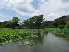 鶴岡八幡宮の庭園