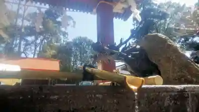 北野天神社の手水舎