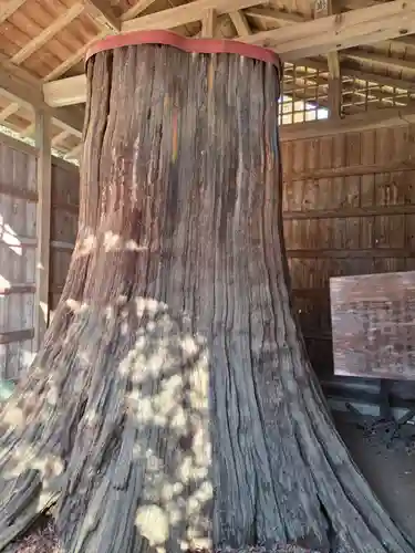 常陸二ノ宮　静神社(茨城県)