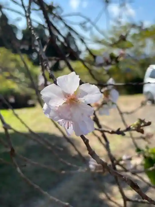清澄寺(千葉県)