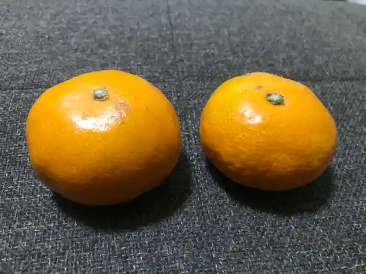 青岸渡寺(和歌山県)