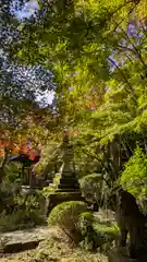 勝持寺（花の寺）(京都府)