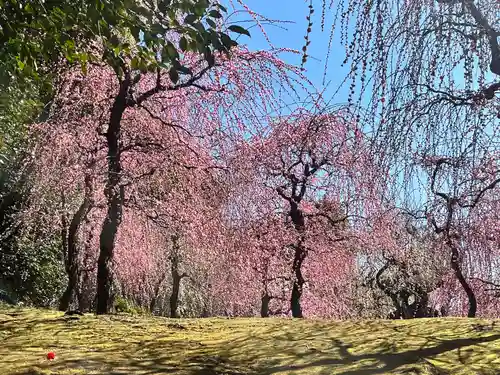 城南宮(京都府)