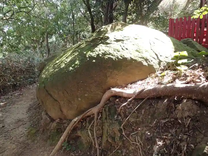 大嶽神社(志賀海神社摂社)の自然