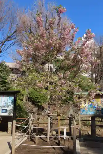 鳩森八幡神社(東京都)