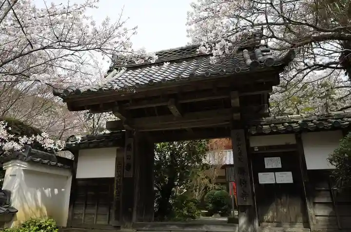 勝持寺(花の寺)(京都府)