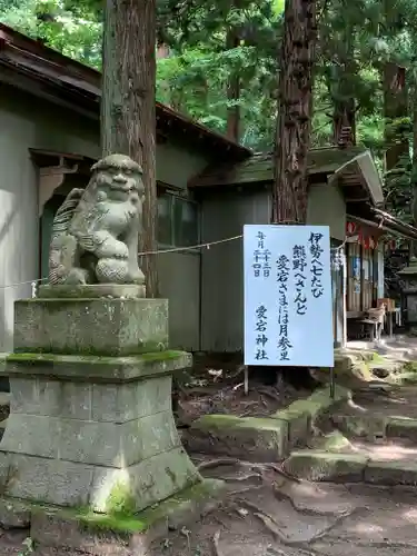 愛宕神社の狛犬