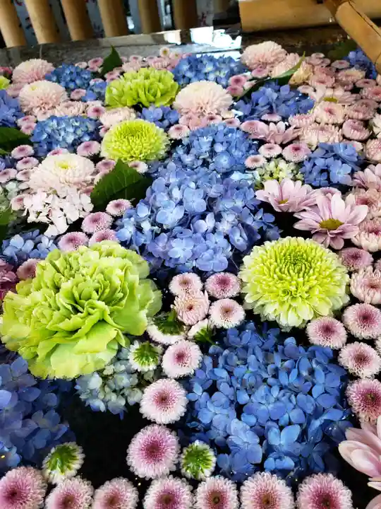 高円寺氷川神社(東京都)