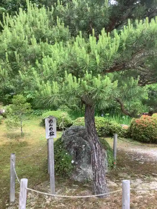 萬勝寺(飯高観音)(岐阜県)