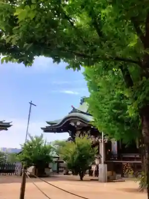 諏訪神社(東京都)