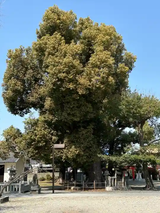 旭神社(大阪府)