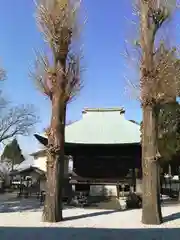 高倉寺の建物その他