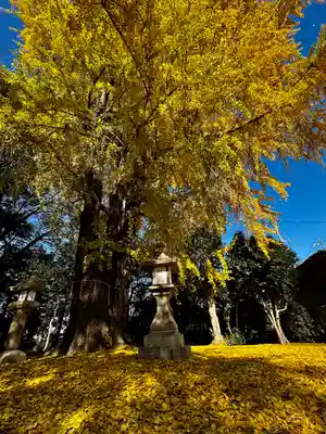 三栖神社(京都府)