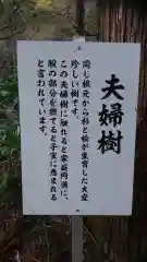 大矢田神社の歴史