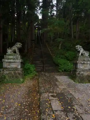 戸隠神社宝光社の狛犬