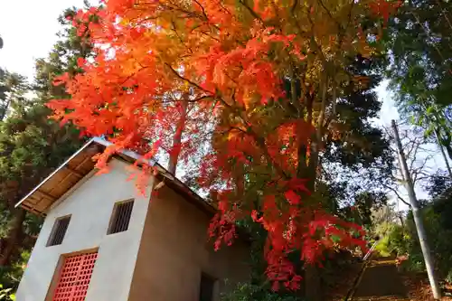 田村神社の自然