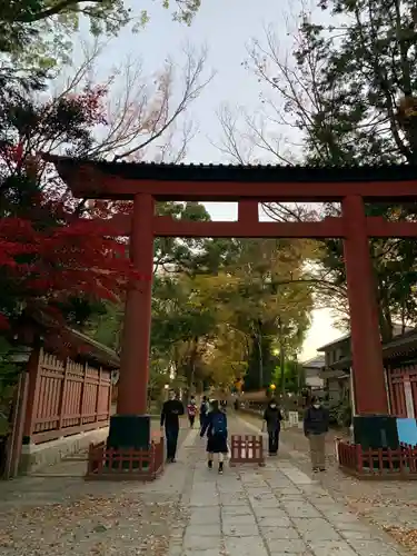 武蔵一宮氷川神社の鳥居