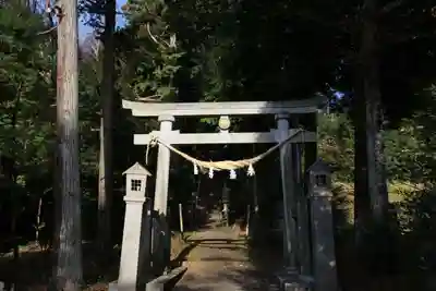 王宮伊豆神社の鳥居