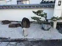 本福寺(京都府)