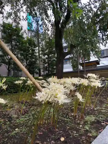 總持寺の庭園