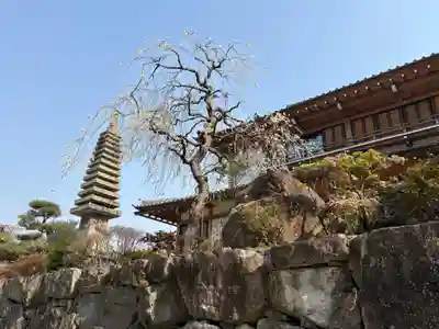 鏑射寺(兵庫県)