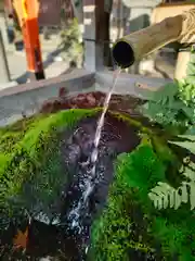 八坂神社(祇園さん)の手水