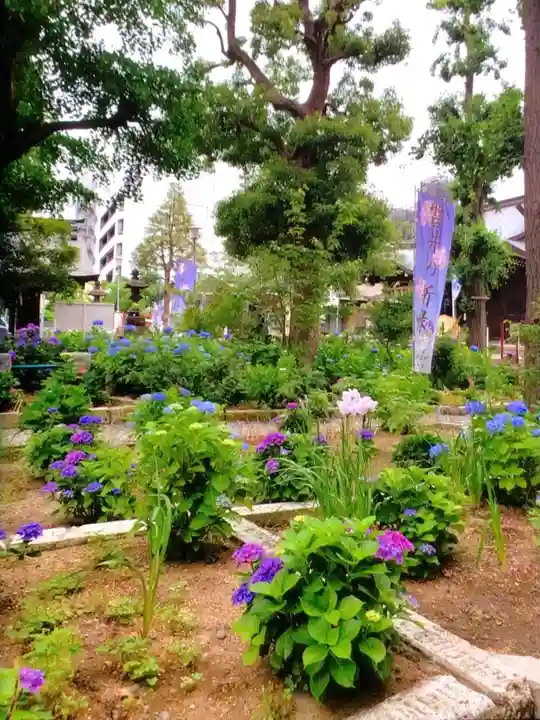 磐井神社(東京都)