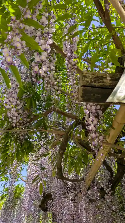 歌泉堂(春日大社神苑萬葉植物園内鎮座)(奈良県)