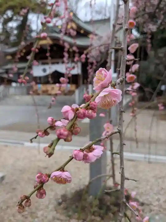 布多天神社(東京都)