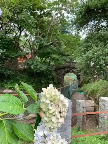 境香取神社の庭園