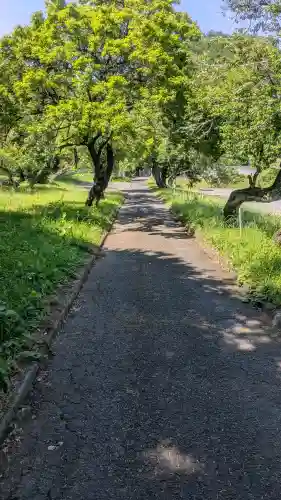 華藏寺(梅澤不動尊) (栃木県)