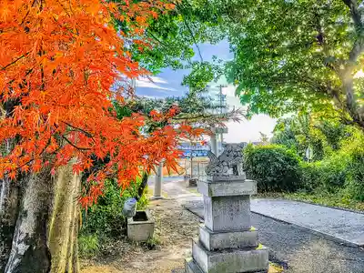 八幡社(椿市町)の自然